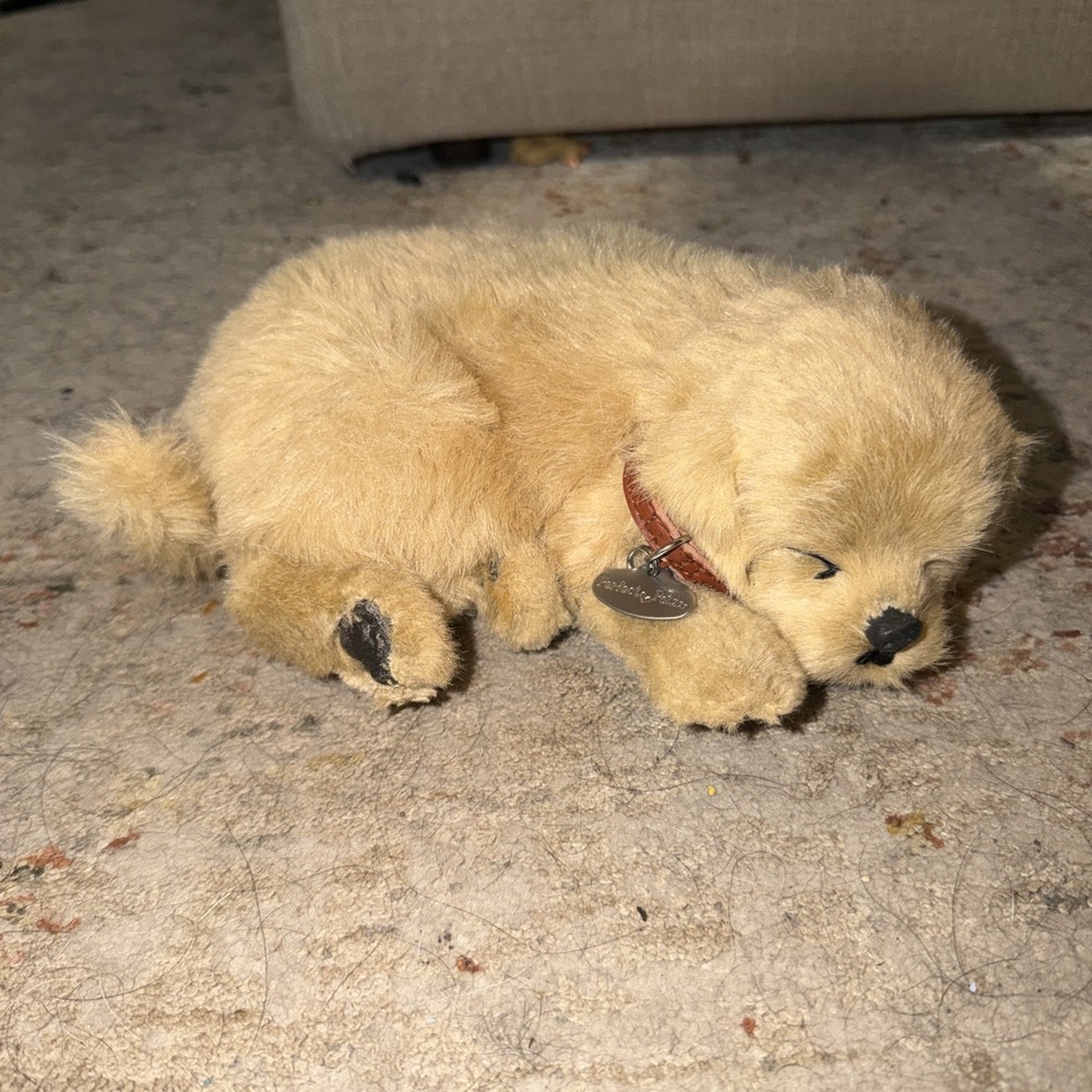 Perfect Petzzz GOLDEN RETRIEVER Breathing Puppy Dog Sleeping Battery Plush K12